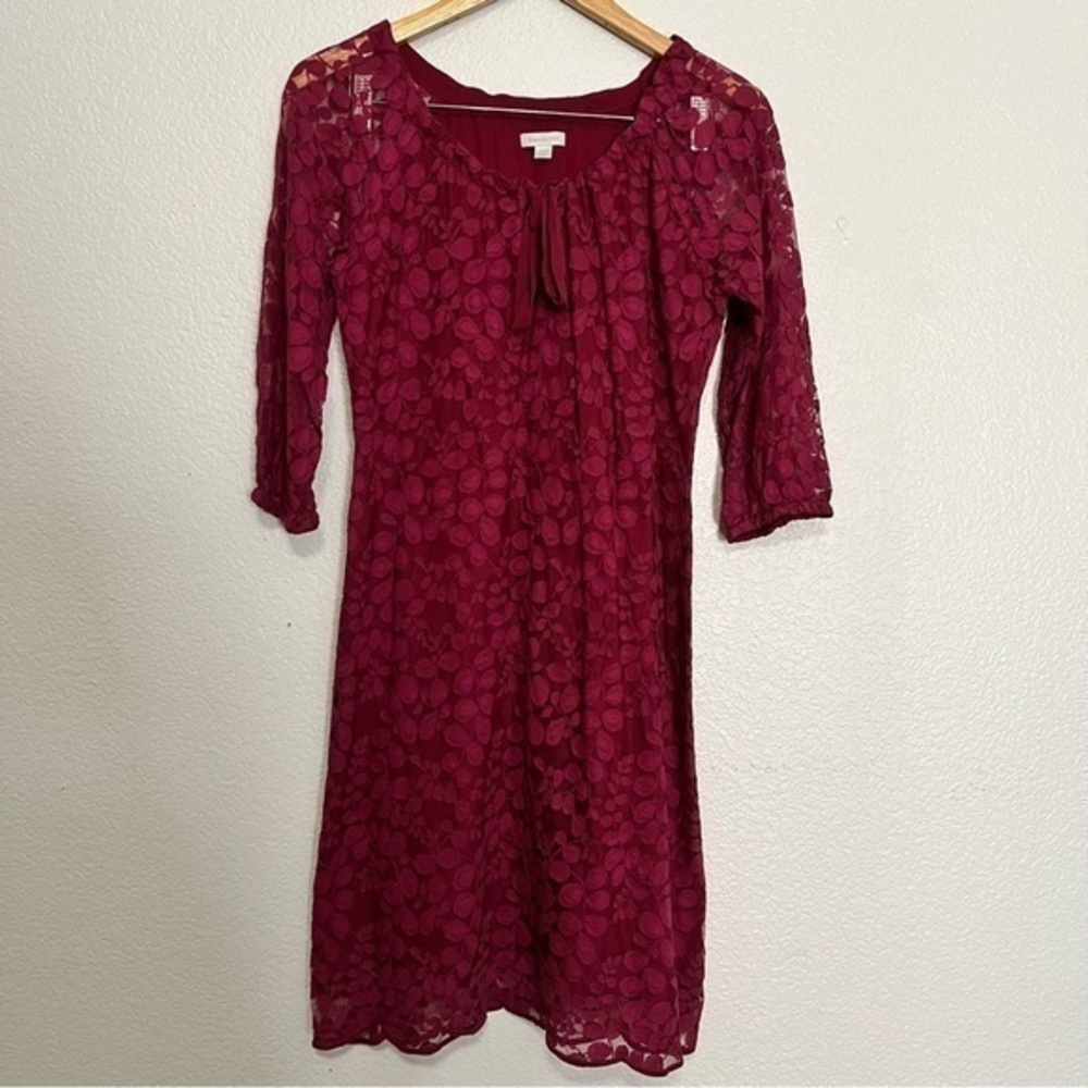 Garnet Hill Eucalyptus Leaf Lace Lined Dress